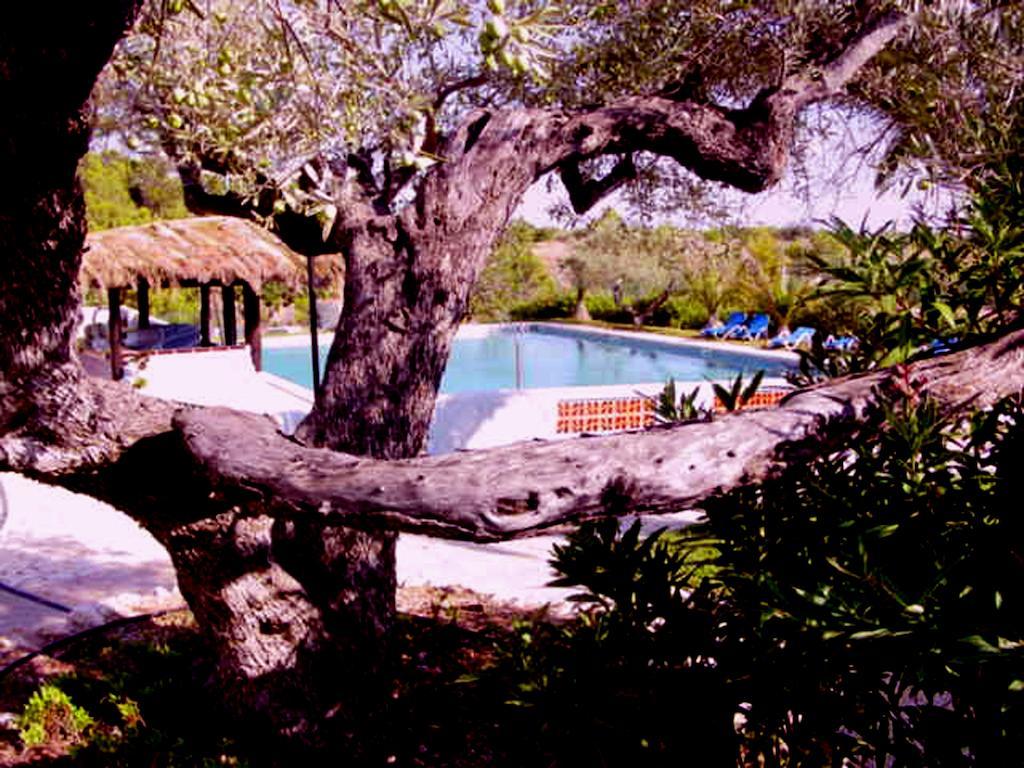 The Sea Garden Hotel L'Ampolla Esterno foto